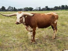 Moove Up 